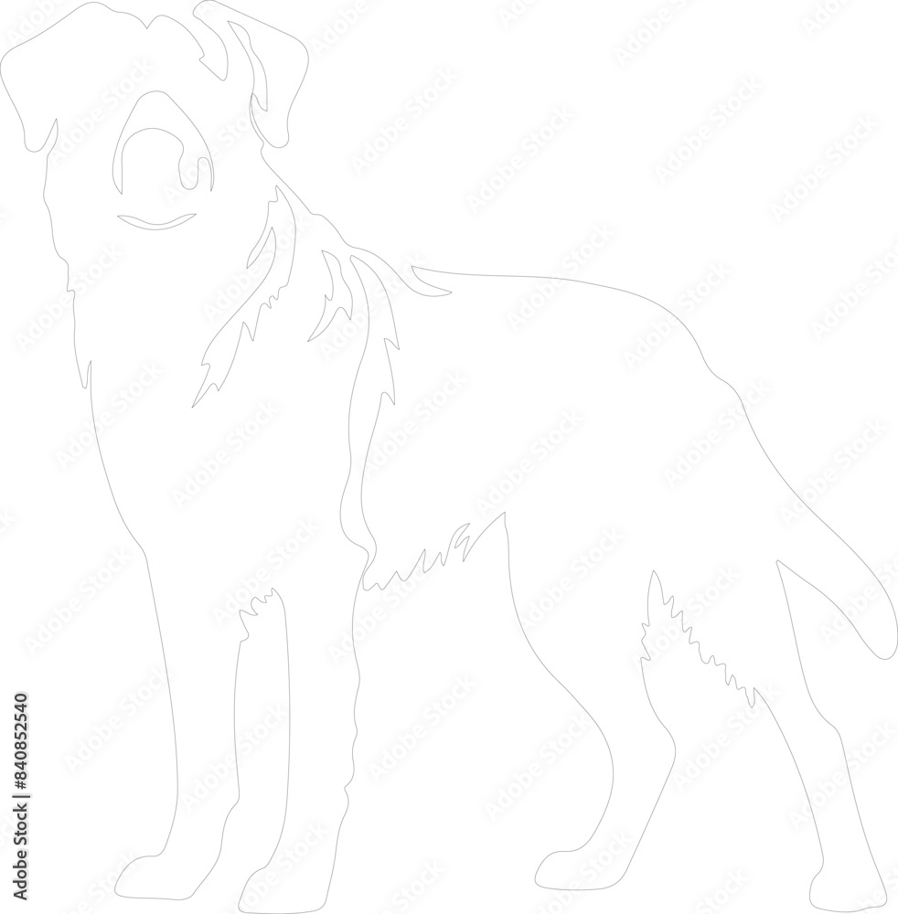 Anatolian Shepherd Dog outline