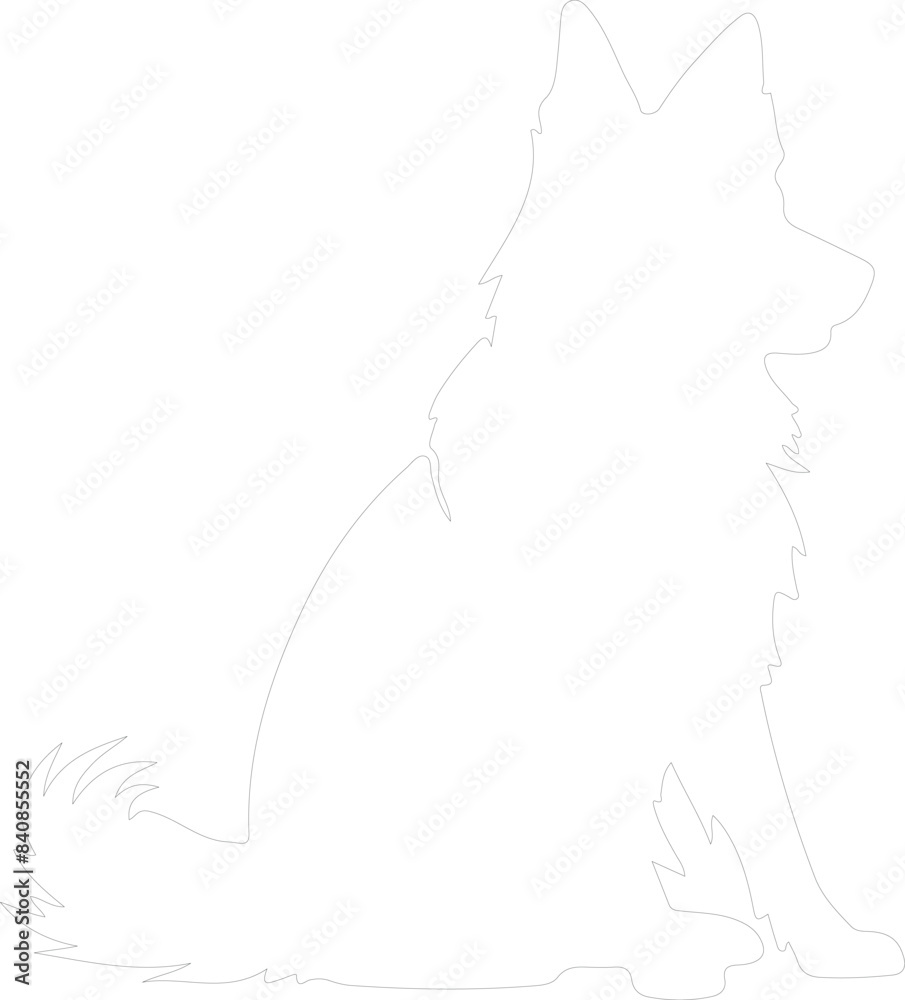 Belgian Sheepdog outline Belgian Sheepdog outline