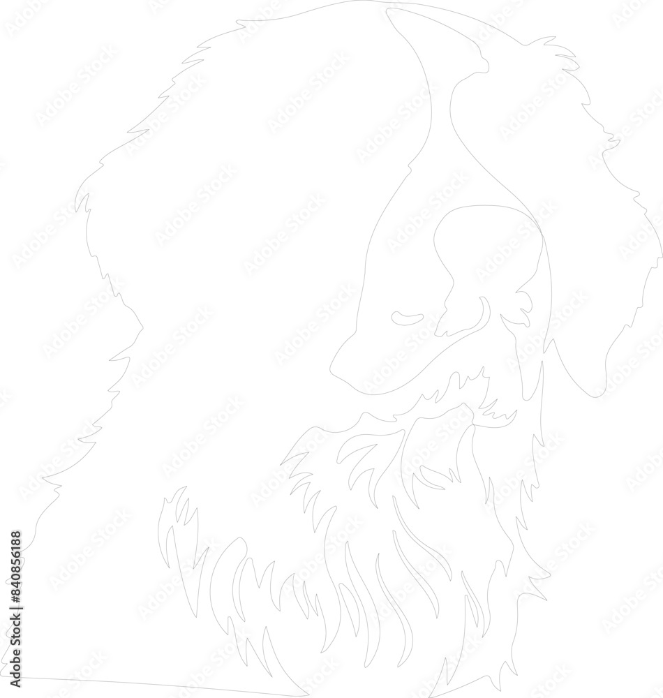 Bernese Mountain Dog outline Bernese Mountain Dog outline