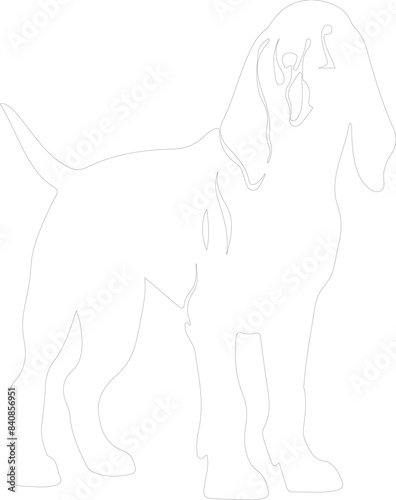 Bloodhound outline