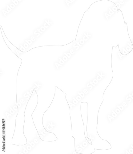 Bloodhound outline