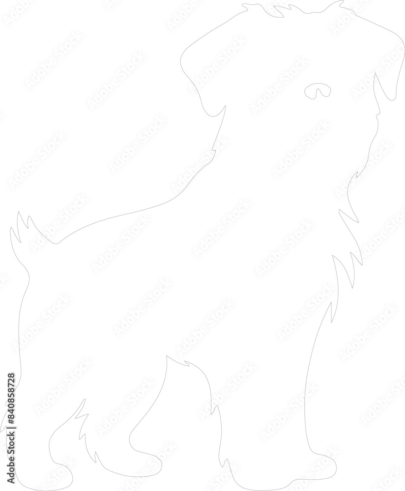 Obraz premium Brussels Griffon outline