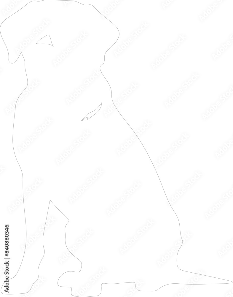 Chesapeake Bay Retriever outline Chesapeake Bay Retriever outline