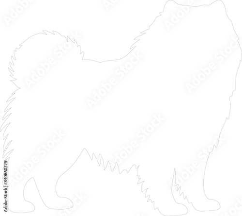 Chow Chow outline
