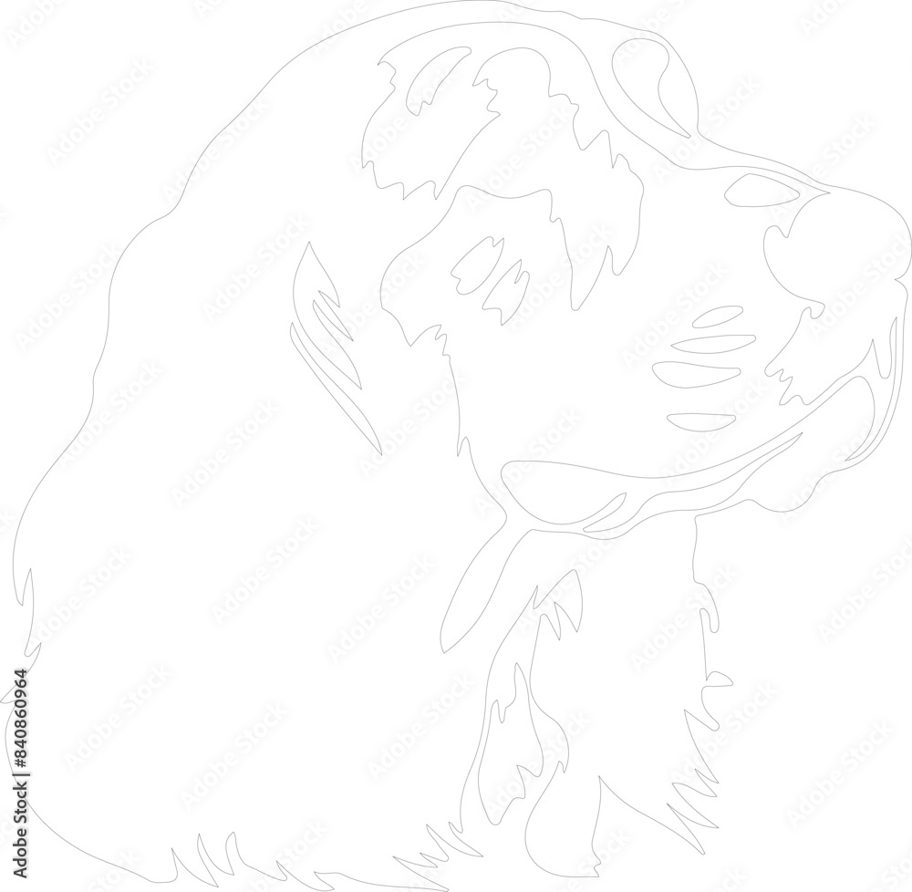Clumber Spaniel outline Clumber Spaniel outline