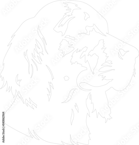 English Setter outline