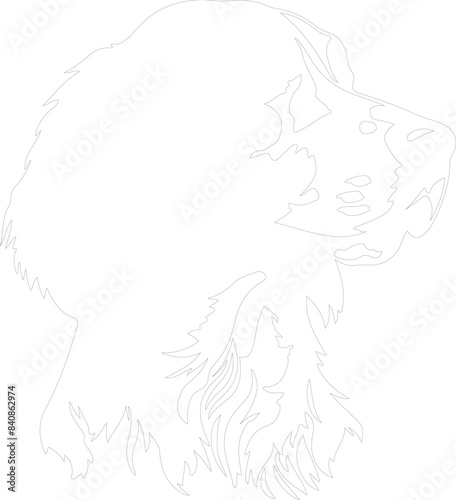English Setter outline