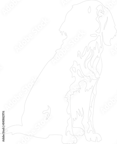 English Setter outline