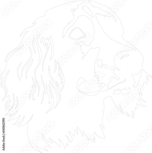 English Setter outline