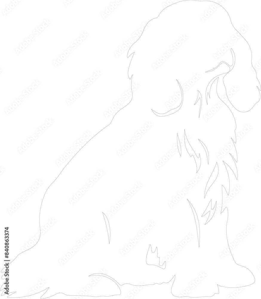 English Toy Spaniel outline English Toy Spaniel outline
