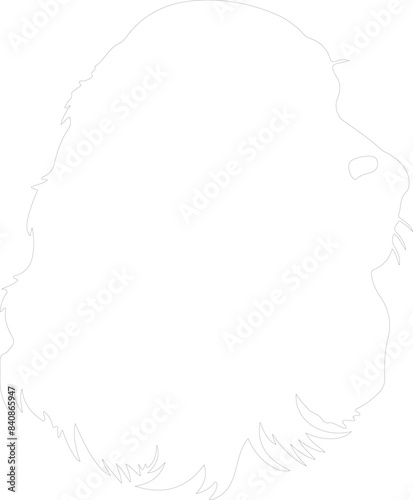 Gordon Setter outline