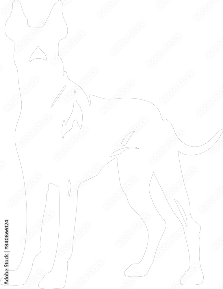 Great Dane outline Great Dane outline