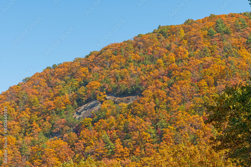 A Hillside of Orange on a Mountain Ridge