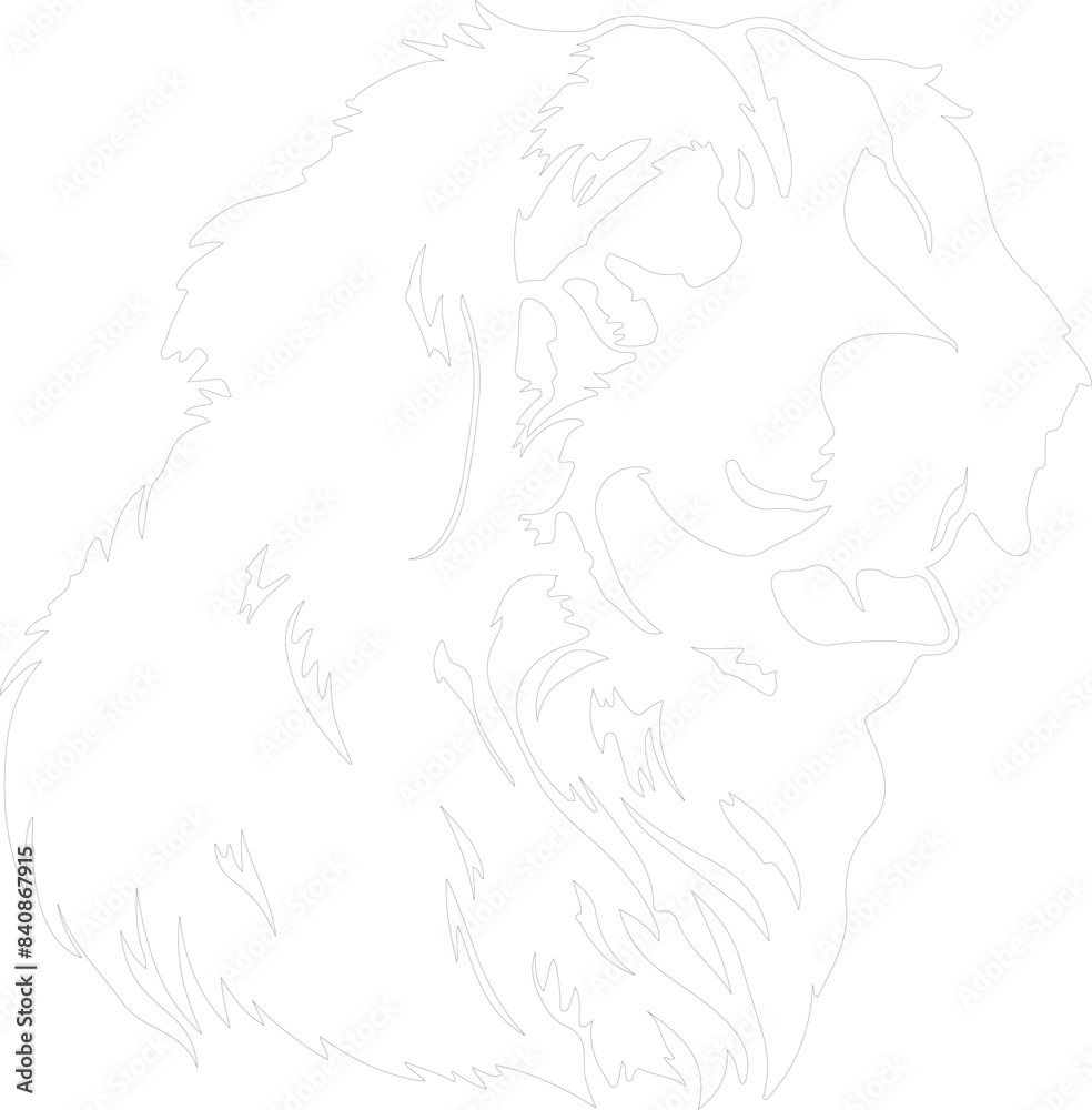 Kuvasz outline Kuvasz outline