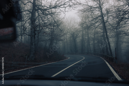 fog on the road