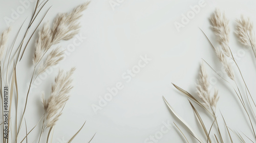 The white background is made of natural materials, decorated with white plants, there is an empty space for the text