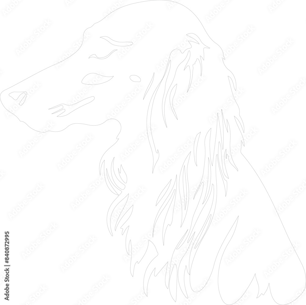 Saluki outline