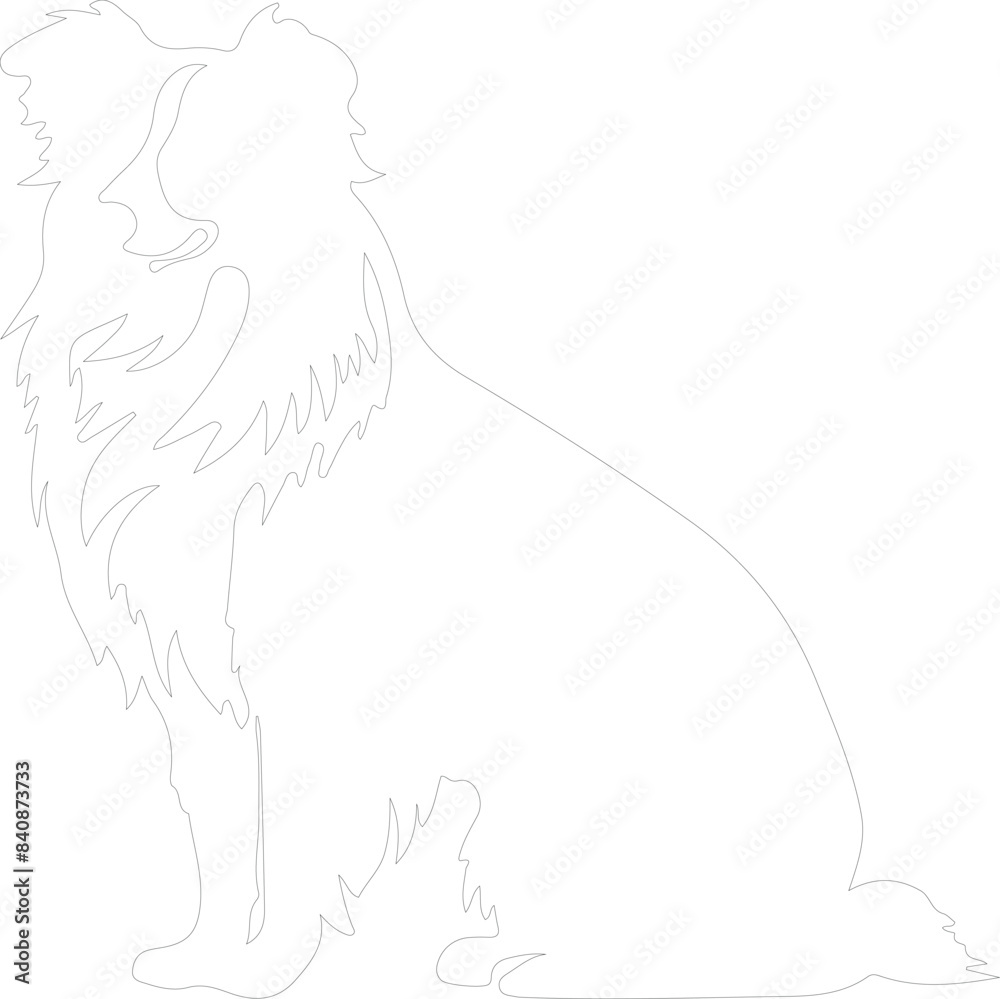 Shetland Sheepdog outline Shetland Sheepdog outline