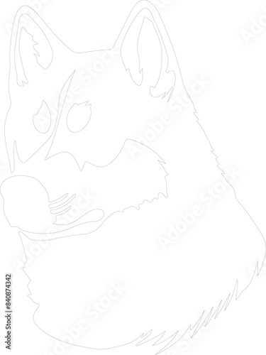 Siberian Husky outline