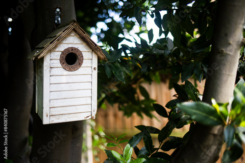 Bird House Hanging from a Tree