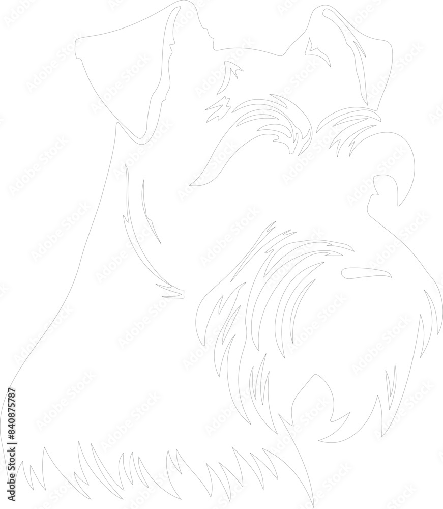 Standard Schnauzer outline