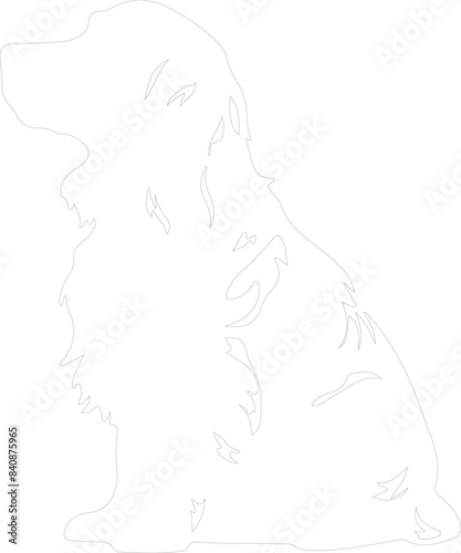 Sussex Spaniel outline