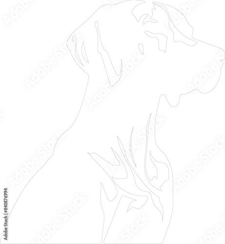 Vizsla outline