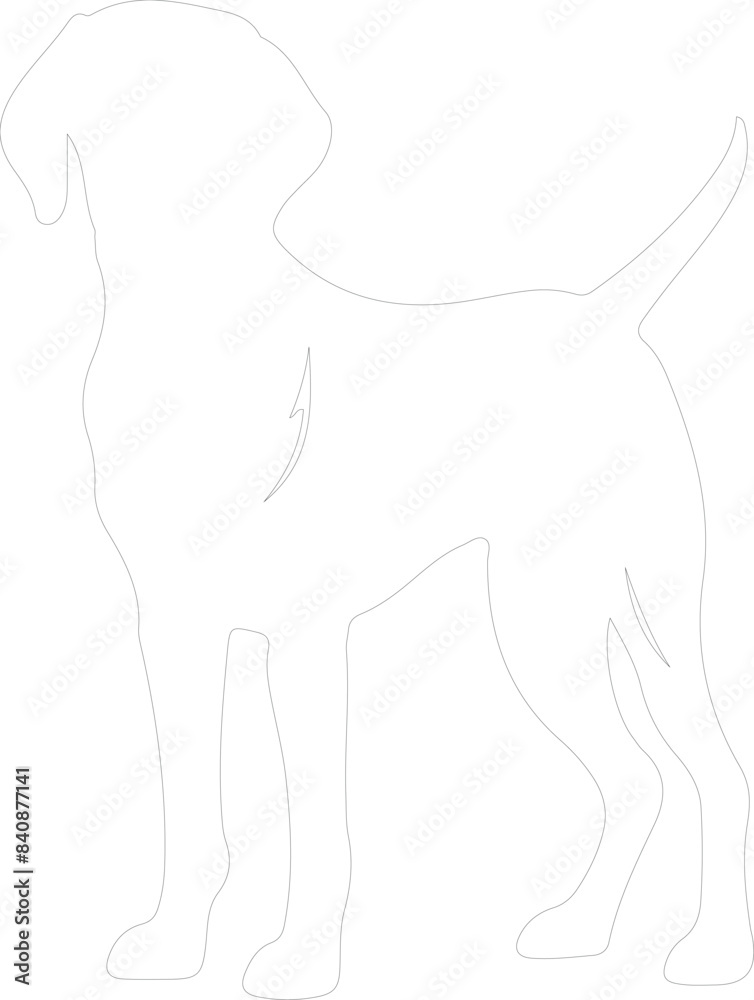 Obraz premium Weimaraner outline
