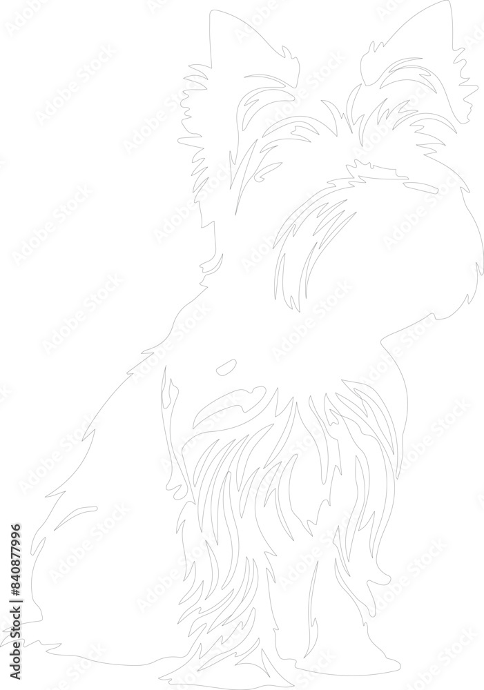Yorkshire Terrier outline Yorkshire Terrier outline