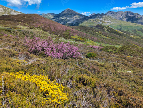 Typical mountain heath landscape near La Cueta village, Luna y Babia Natural Park, Leon province, Spain photo