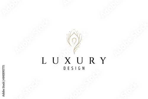 Beautiful peacock feather logo in simple linear design style