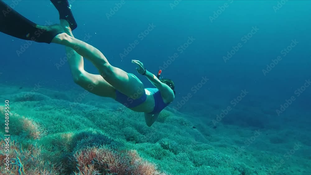 custom made wallpaper toronto digitalWoman swims underwater in the tropical sea and slowly moves over the sea bottom