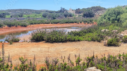 Beautiful natural pond on the comino island. Preserved nature. High quality photo