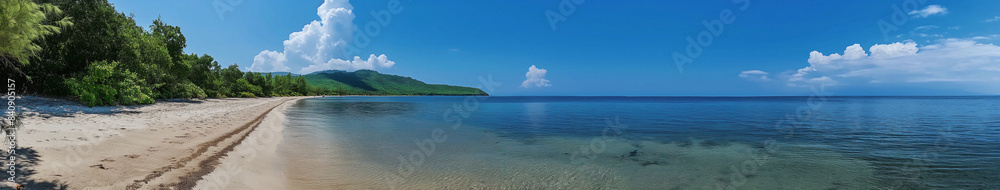 A beautiful beach with a clear blue ocean and a few trees in the background
