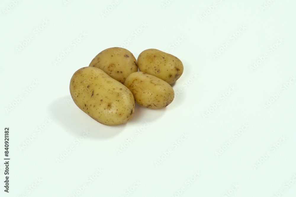 small field potatoes on white background small field potatoes on white background