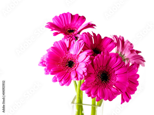 A vase of pink flowers sits on a white background. The flowers are arranged in a way that they are all facing the same direction, creating a sense of harmony and balance. Nature beauty