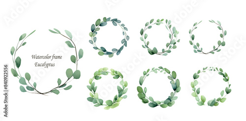 watercolor frame Eucalyptus. set of watercolor eucalyptus frames. eucalyptus