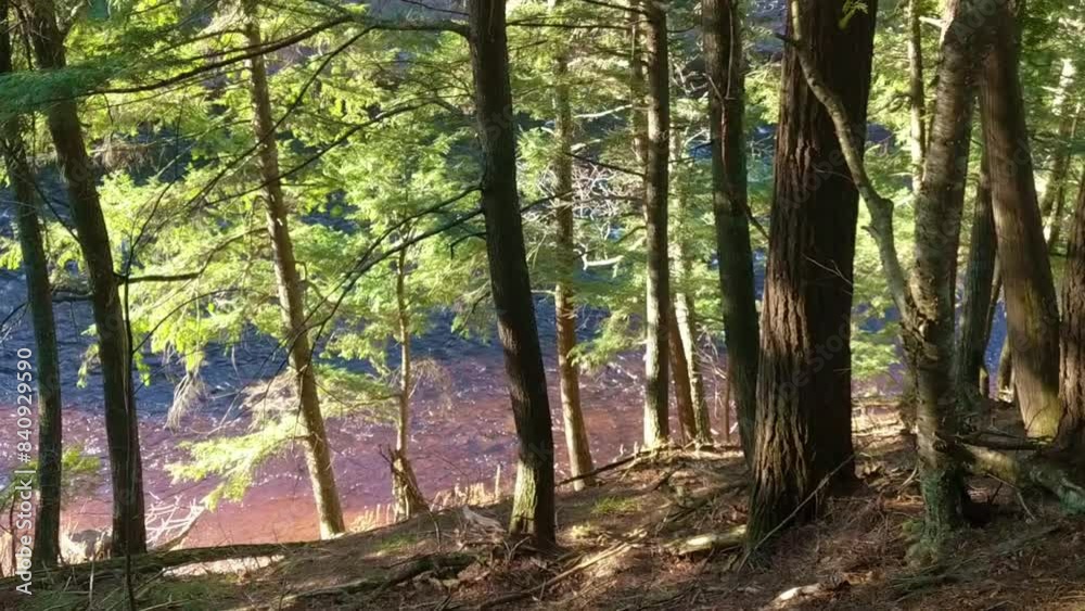 Presque Isle River flows seen through dense forests at Porcupine Mountains Wilderness State Park in Michigan. Presque Isle River flows seen through dense forests at Porcupine Mountains Wilderness State Park in Michigan.