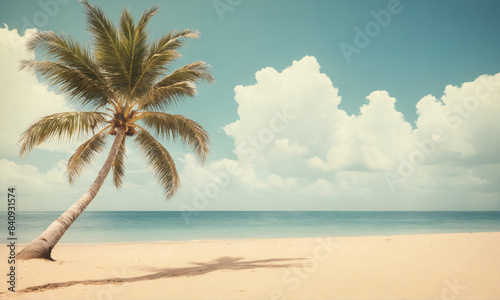 Single palm tree on a tropical beach under a cloudy sky