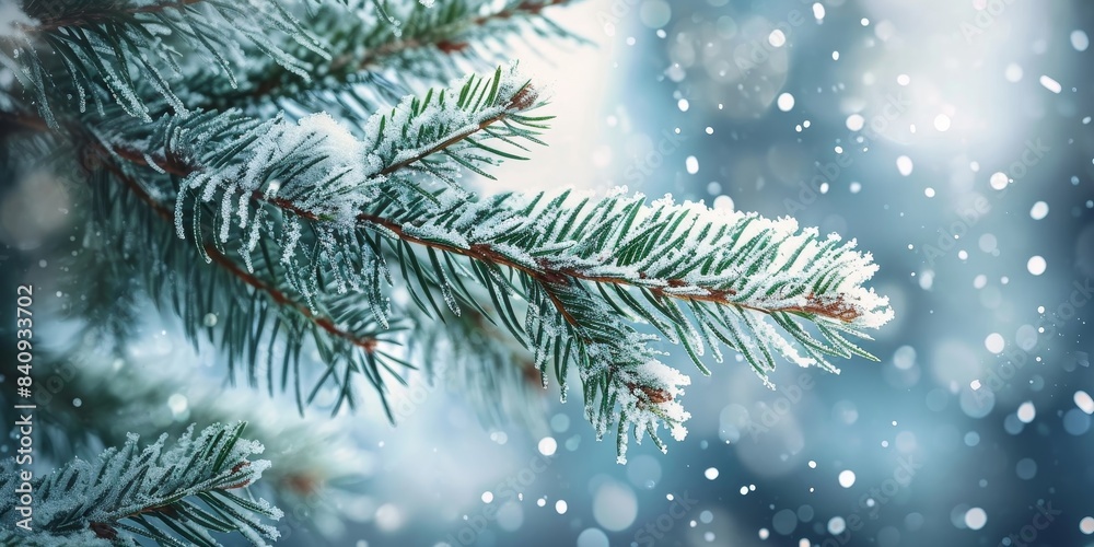 Christmas snowy winter holiday celebration greeting card - Closeup of frozen pine branch and snow, defocused blurred background with blue sky and, Generative AI Christmas snowy winter holiday celebration greeting card - Closeup of frozen pine branch and snow, defocused blurred background with blue sky and, Generative AI