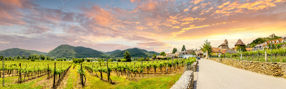 Fototapeta premium Dürnstein, Wachau, Donau, Österreich 