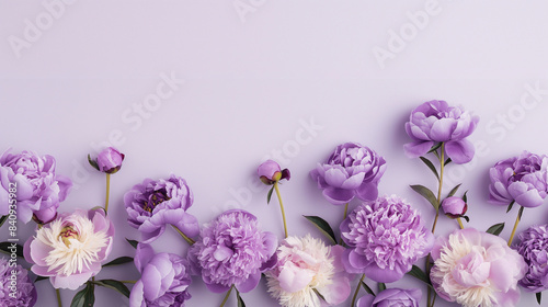 Empty feminine lilac purple peony flowers frame on graceful lilac background, for sign design, wedding invitation, cosmetic product, Mother's Day, Valentine, Woman's Day mock up with copy space
