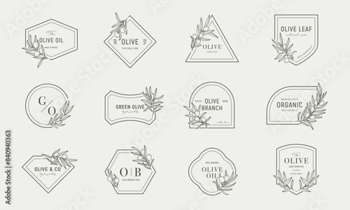 Olive logos templates set with olive branches in minimal linear style. Vector leaves and olive fruits.