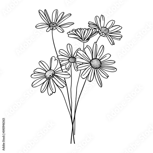 Outline bouquet chamomile or daisy flowers on stem and leaves. Hand drawn sketch isolated on white background