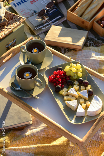 Picnic with tasty food and ...