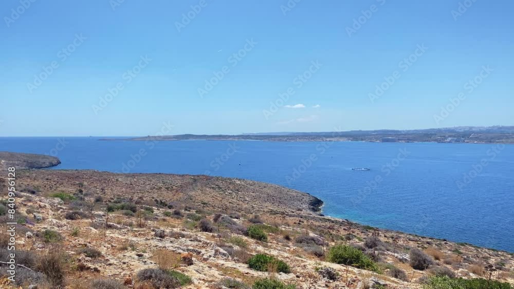 Beautiful colorful wildflowers on the rugged Terrain of Comino Island, Malta. Revealing mediterranean sea and Malta island in the distance. High quality 4k footage Beautiful colorful wildflowers on the rugged Terrain of Comino Island, Malta. Revealing mediterranean sea and Malta island in the distance. High quality 4k footage