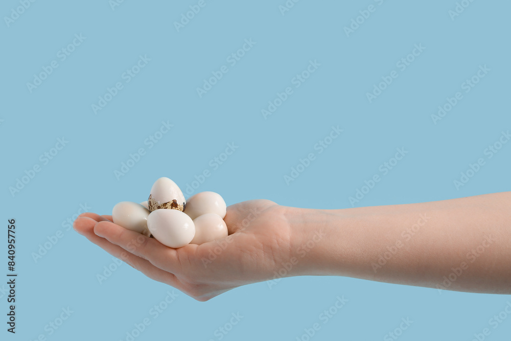 Female hand with fresh boiled quail eggs on blue background Female hand with fresh boiled quail eggs on blue background