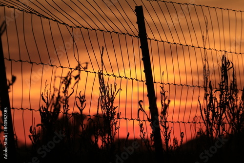 sunset over the fence in Kansas
