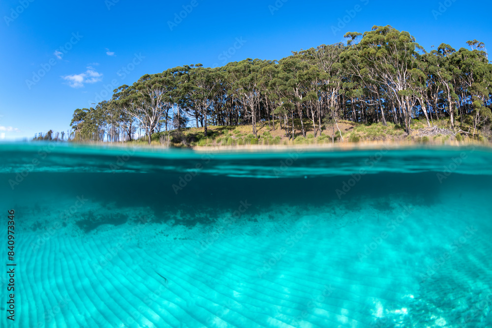 Crystal clear waters of Jervis Bay, Australia, showcasing a serene underwater view with lush forested shoreline in the background.
