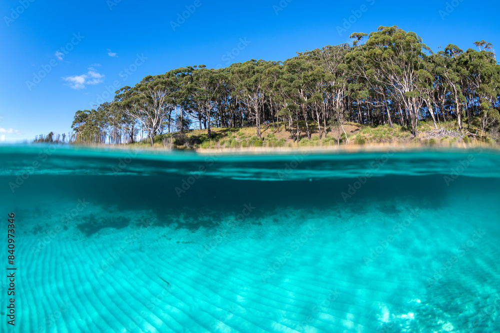 Crystal clear waters of Jervis Bay, Australia, showcasing a serene underwater view with lush forested shoreline in the background. Crystal clear waters of Jervis Bay, Australia, showcasing a serene underwater view with lush forested shoreline in the background.